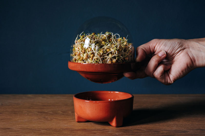 Patina-lentils-hand-open-01-landscape