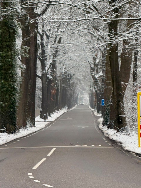 Gerben Coppen foto 2